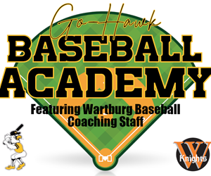 Presentational 2025 Go Hawk Baseball Academy visual