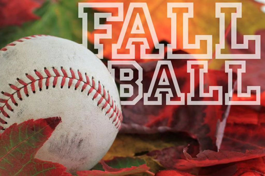 2025 Fall Baseball Registration link