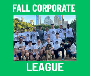 Presentational Fall Corporate Coed League visual