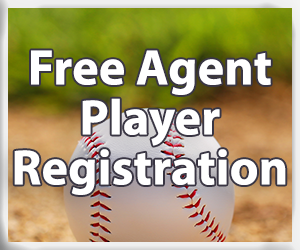 Presentational Summer Individual Free Agent visual