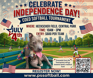 Presentational Santi's July 4th Coed Softball Tournament visual