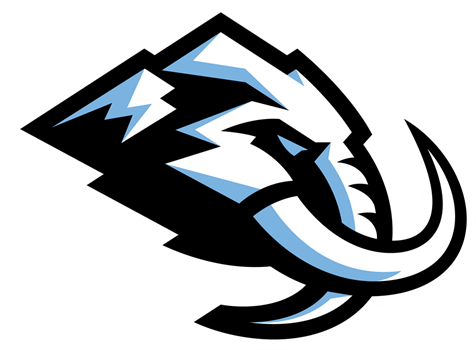 Mammoth Street Hockey link