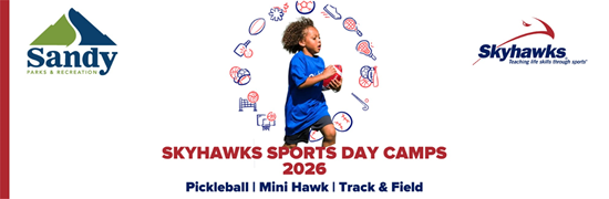 SKYHAWKS CAMPS link