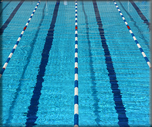 Presentational Sharks Swim Team visual