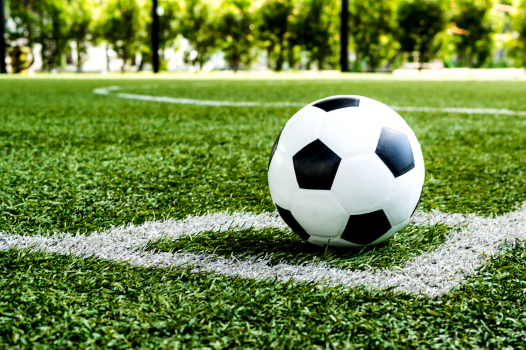 PELE CUP link