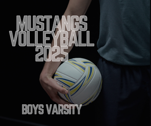 Presentational Volleyball - Boys visual