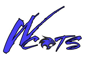 Presentational Baseball/softball visual