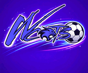 Presentational 2026 Spring Soccer visual