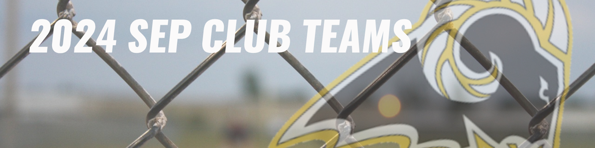 greater-altoona-girls-softball-association