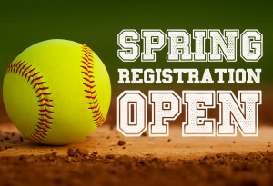 Presentational League Softball visual