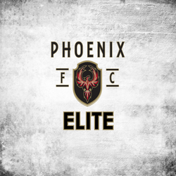 Presentational Elite Interest visual