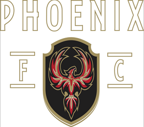 Presentational Men's Training visual