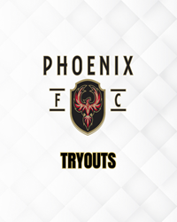 Presentational MONTGOMERY Elite Evaluations visual