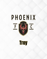 Presentational TROY Elite Evaluations visual