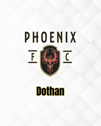 Presentational DOTHAN Elite Evaluations visual