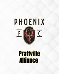 Presentational PRATTVILLE Alliance Elite Evaluations visual