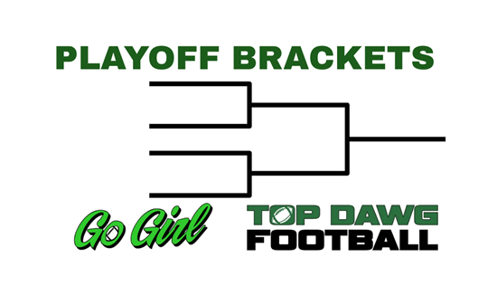 2026 Playoff Brackets link