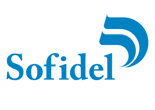 Sofidel website