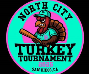 Presentational 2025 Turkey Tournament visual