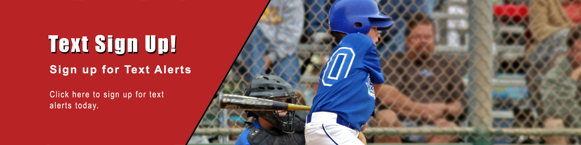 Rohnert Park Cal Ripken Baseball