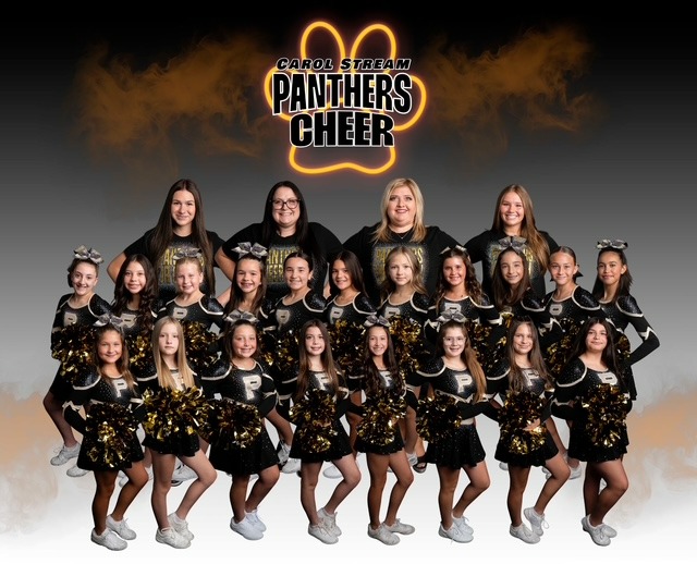 Soccer ball on grass