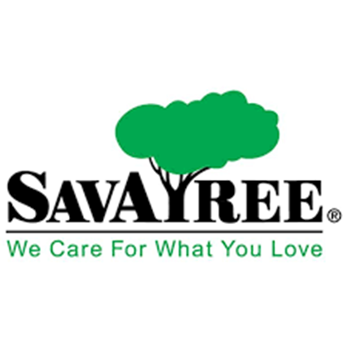Savatree website