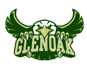 Presentational GlenOak Little Eagles Youth Basketball visual