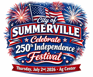 Presentational Celebrate Independence Festival Food Vendor Application visual