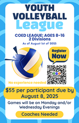 Presentational 2025 Fall Youth Volleyball visual