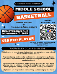 Presentational Middle School Basketball League visual