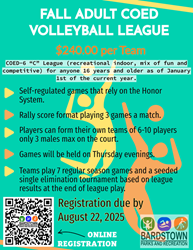 Presentational Adult Co-Ed Volleyball visual