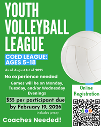 Presentational 2026 Spring Youth Volleyball visual