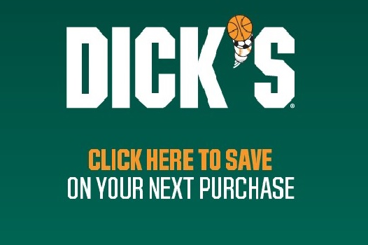 Dick's Sporting Goods link