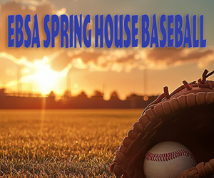 Presentational SPRING BASEBALL visual