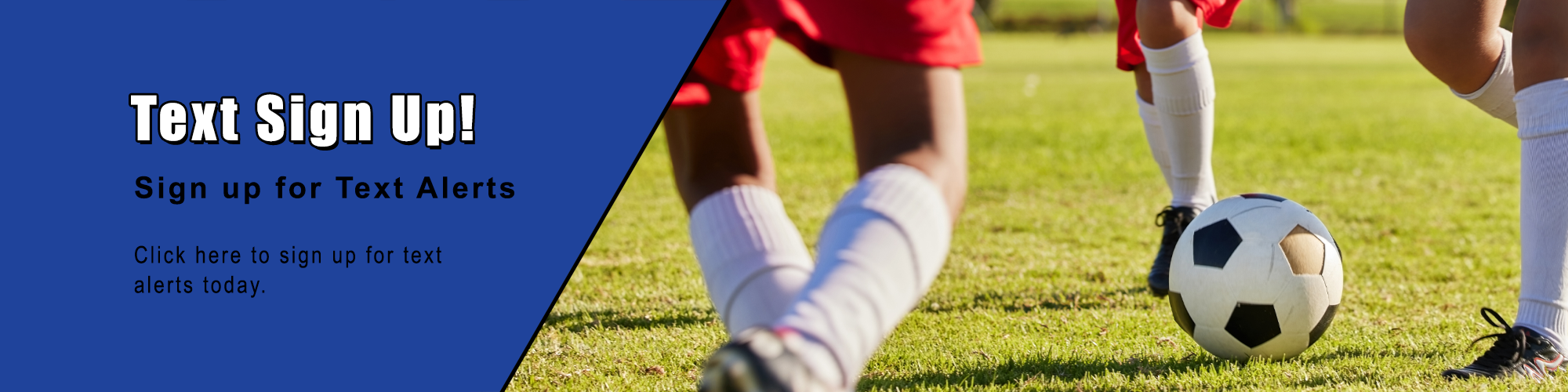 Nutmeg Women's Soccer League