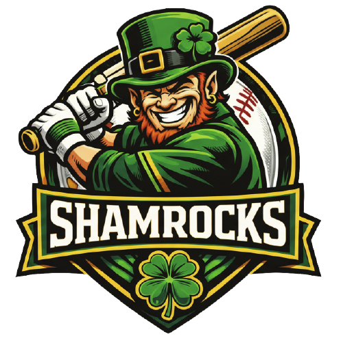The Fitzpatrick Team Shamrocks website