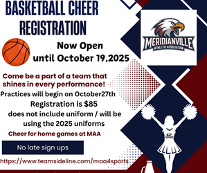 Presentational Basketball Cheerleading visual