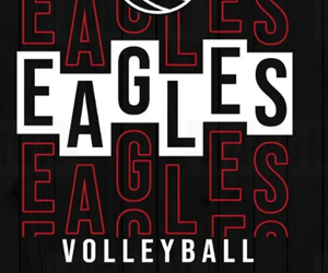 Presentational 2026 FALL VOLLEYBALL visual