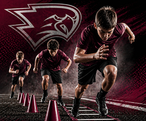 Presentational Westosha Falcon Youth Football visual