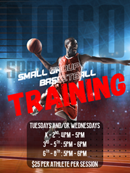 Presentational NOCO Basketball | Small Group Training visual