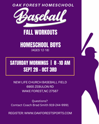 Presentational Baseball Oak Forest Warriors visual
