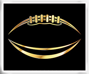 Presentational 2025 Springtown Football Background Check* visual