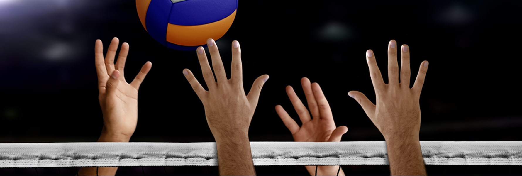 Photo gallery image 1