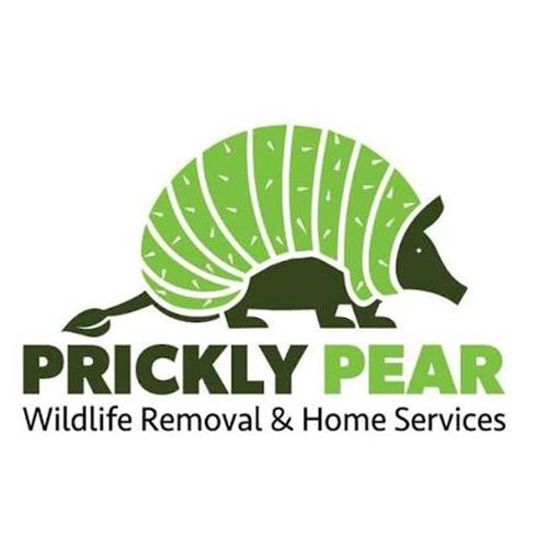 Prickly Pear Wildlife Removal and Home Services website