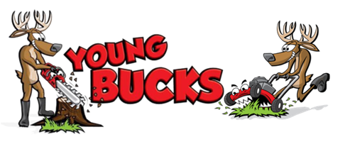 Young Bucks  website