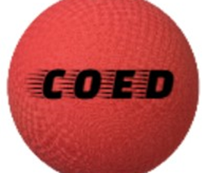 Presentational Full Team - WED- COED Kickball visual