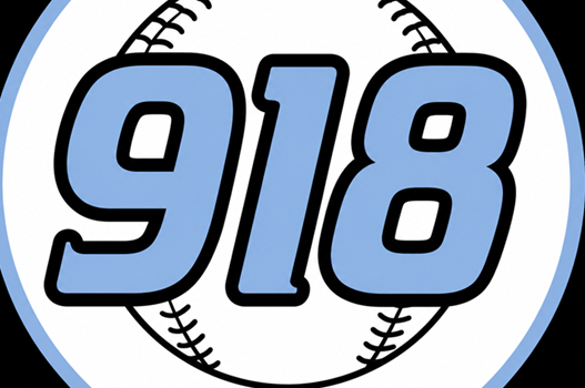 918 Adult Baseball link