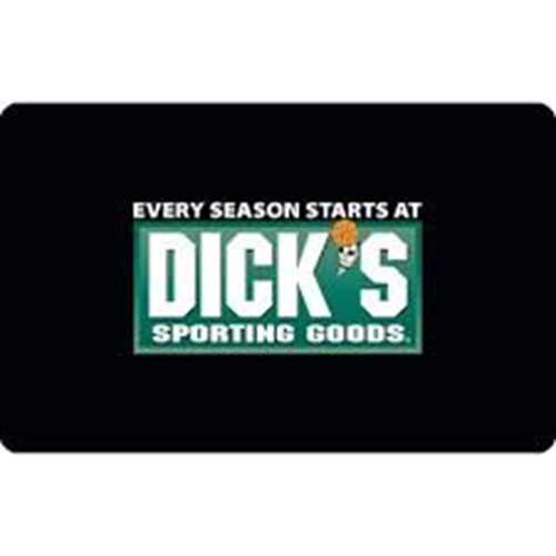 DICK'S SPORTING GOODS website