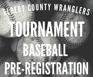Presentational 2026 Baseball Tournament Pre-Registration visual