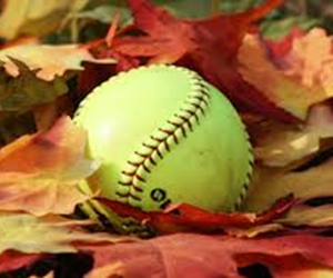 Presentational Phenix City Youth Softball visual